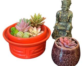 Ceramic Succulent Decor More