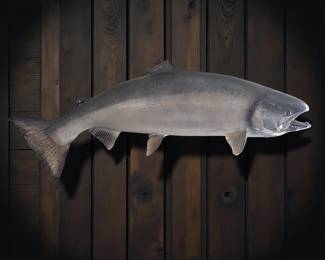 Salmon Mount bid #41