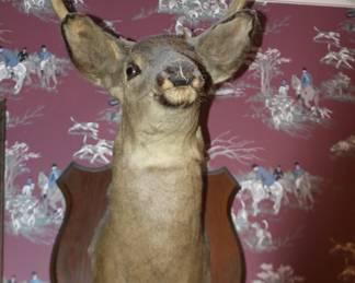Deer Mount