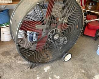 Large fan