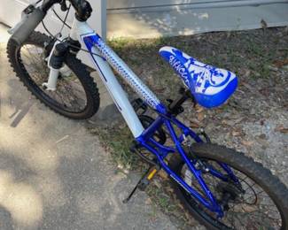 One of three bicycles