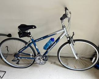 Giant Cypress DX bicycle.