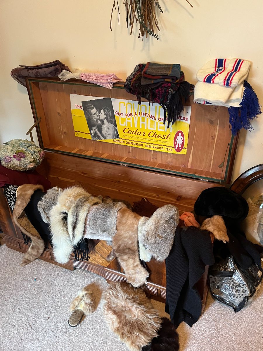 cedar chest, animal furs