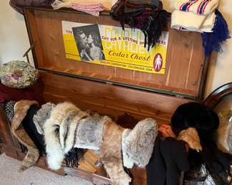 cedar chest, animal furs