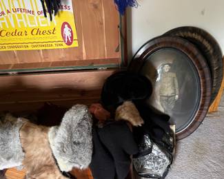 animal fur, antique picture frames