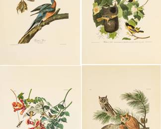 Lot 4023
After John James Audubon (American, 1785-1851) Offset Lithographs on Rag Paper, Amsterdam Edition, Ca. 1971, 'Passenger Pigeon, Baltimore Oriole,'