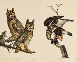 Lot 4010
After John James Audubon (American, 1785-1851) Offset Lithographs on Rag Paper, Amsterdam Edition, Ca. 1971, 'Great Horned Owl, Rough-legged Falcon'