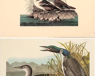 Lot 4013
After John James Audubon (American, 1785-1851) Offset Lithographs on Rag Paper, Amsterdam Edition, Ca. 1971, 'Hooded Merganser, Great Northern Diver'