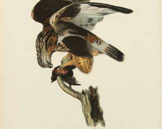 Lot 4028
John T. Bowen (English-American, 1801-1856) After John James Audubon, Hand Colored Lithograph on Paper, Ca. C. 1840s, 'Rough-legged Buzzard'