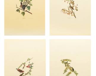Lot 4015
After John James Audubon (American, 1785-1851) Offset Lithographs on Rag Paper, Amsterdam Edition, Ca. 1971, 'Cat Bird, Tree Sparrow, Pine Finch, Purp'