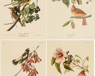 Lot 4021
After John James Audubon (American, 1785-1851) Offset Lithographs on Rag Paper, Amsterdam Edition, Ca. 1971, 'Cardinal Grosbeak, Summer Red Bird, Rice'