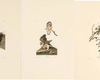 Lot 4025
After John James Audubon (American, 1785-1851) Offset Lithographs on Rag Paper, Amsterdam Edition, Ca. 1971, 'Cedar Bird, Black-capped Titmouse'