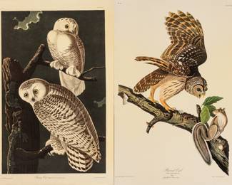 Lot 4007
After John James Audubon (American, 1785-1851) Offset Lithographs on Rag Paper, Amsterdam Edition, Ca. 1971, 'Snowy Owl, Barred Owl'