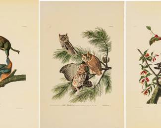 Lot 4022
After John James Audubon (American, 1785-1851) Offset Lithograph on Rag Paper, Amsterdam Edition, Ca. 1971, 'Canada Jay, Baltimore Oriole'