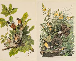Lot 4014
After John James Audubon (American, 1785-1851) Offset Lithographs on Rag Paper, Amsterdam Edition, Ca. 1971, 'American Robin, Meadow Lark'
