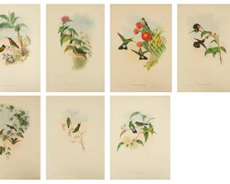 Lot 4044
John Gould (English, 1804-1881) And Henry Richter (English, 1821-1902) Hand Colored Lithographs on Paper, 19th C., 'Hummingbirds'