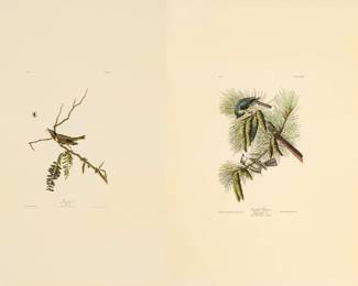 Lot 4019
After John James Audubon (American, 1785-1851) Offset Lithographs on Rag Paper, Amsterdam Edition, Ca. 1971, 'American Goldfinch, Crested Titmouse'