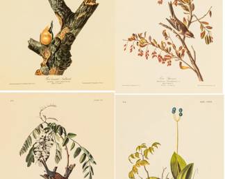 Lot 4017
After John James Audubon (American, 1785-1851) Offset Lithographs on Rag Paper, Amsterdam Edition, Ca. 1971, 'Tree Sparrow, Red-breasted Nuthatch'