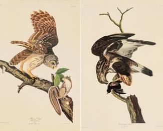 Lot 4011
After John James Audubon (American, 1785-1851) Offset Lithographs on Rag Paper, Amsterdam Edition, Ca. 1971, 'Barred Owl, Rough-legged Falcon'
