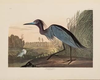 Lot 4000
After John James Audubon (American, 1785-1851) Offset Lithograph on Rag Paper, Amsterdam Edition, Ca. 1971, 'Blue Crane or Heron'