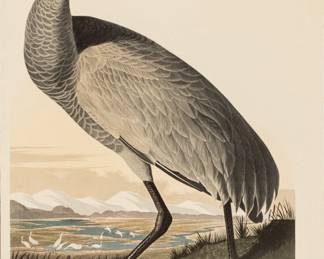 Lot 4002
After John James Audubon (American, 1785-1851) Offset Lithograph on Rag Paper, Amsterdam Edition, Ca. 1971, 'Whooping Crane (Grus Americana)'