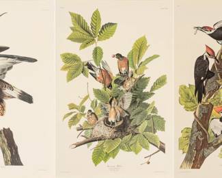 Lot 4016
After John James Audubon (American, 1785-1851) Offset Lithographs on Rag Paper, Amsterdam Edition, Ca. 1971, 'Pileated Woodpecker, American Robin'