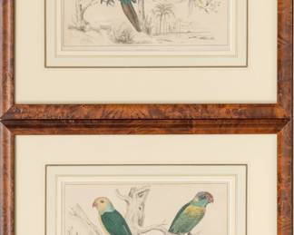 Lot 4046
After Oliver Goldsmith (English) Hand Colored Etchings, Ca. 1860-1880, 'Parakeets'