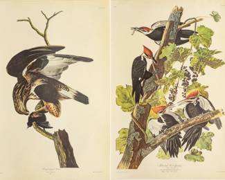 Lot 4012
After John James Audubon (American, 1785-1851) Offset Lithographs on Rag Paper, Amsterdam Edition, Ca. 1971, 'Pileated Woodpecker, Rough-legged Falcon'