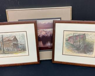 3 Scenic Framed Prints