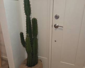 Faux columnar cactus home decor