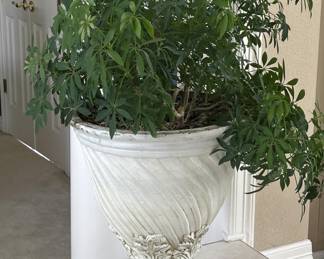 Classical Footed Urn Planter w/ Plant
