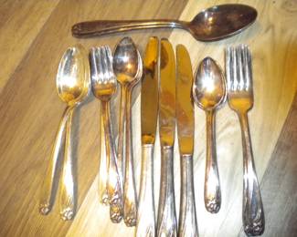 Wm. Rogers "Daffodil" partial set silverplate
