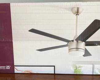 New Ceiling Fan 52 Inch Merwry