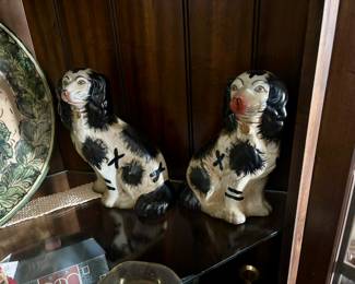 Staffordhire King Charles Spaniels