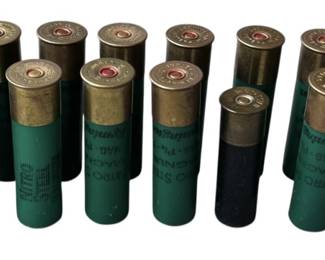 18 Shotgun Shells