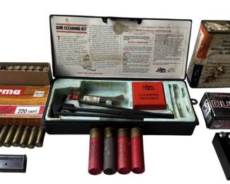 Ammo Gun Cleaning Lot