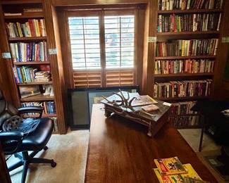 Office and nice library of books 