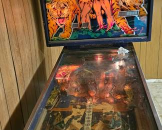 Pinball machine turns on. All the manuals are there with it.