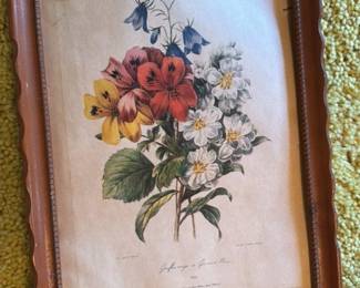 Antique Botanical Print of Flowers 