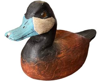 Duck Decoy
