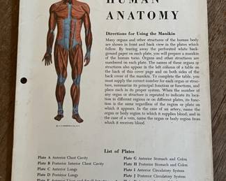 Lot 440 | 1950/60s Human Anatomy Manikin Paper Ephemera
