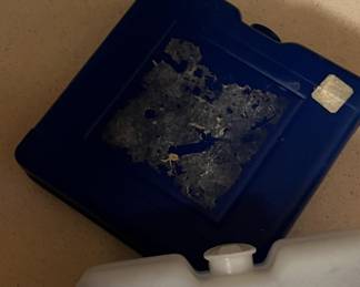 Lot 323 | Blue Ice Cooler Ice Packs
