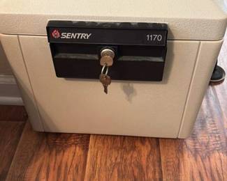 SentrySafe 1170 Fireproof and Waterproof Safe