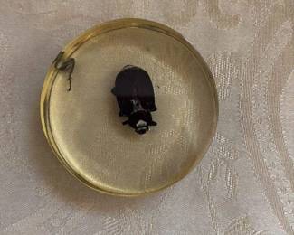 Inclusion Paperweight with Beetle