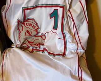Vintage UNM jersey 