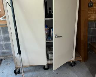 Rolling cabinet with shelves