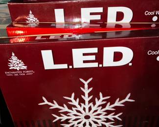 This is a tiny example of the lighted window displays that span all the seasons and many holidays. 