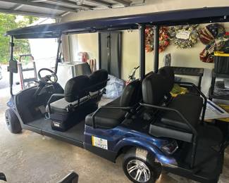 2021 Icon Golf Cart
