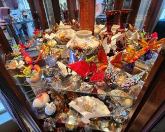 Large Butterfly Collection