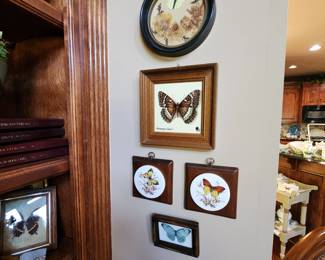 Framed Butterflies